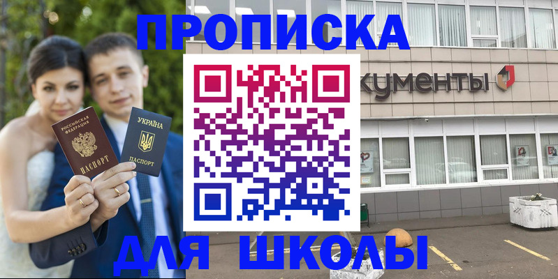 временная регистрация госуслуги в Светлом